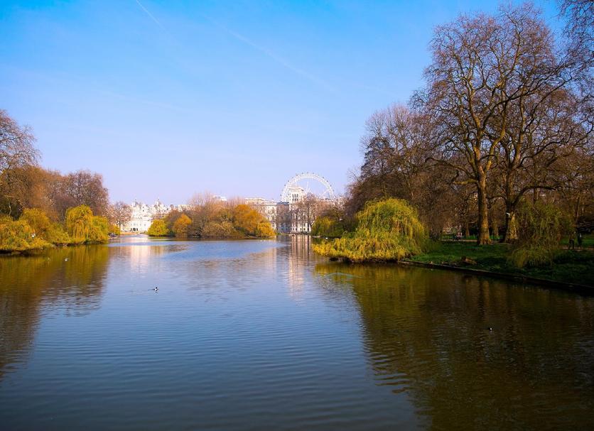 Buiten zicht Foto's