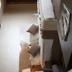Andere
