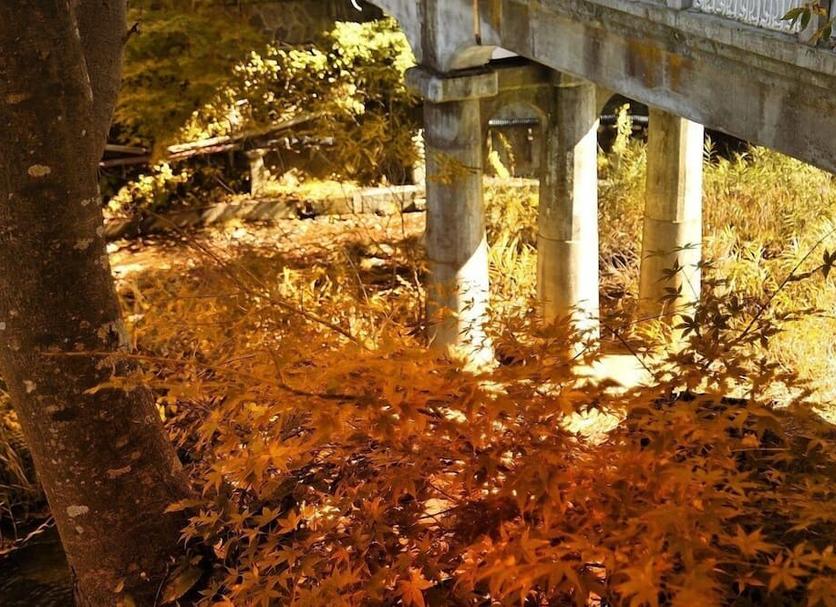 Buiten zicht Foto's