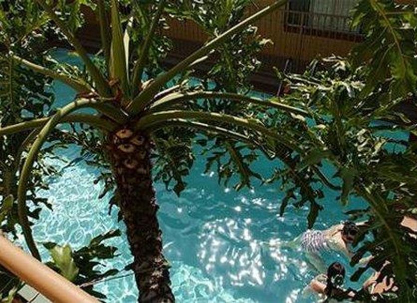 Buiten zicht Foto's