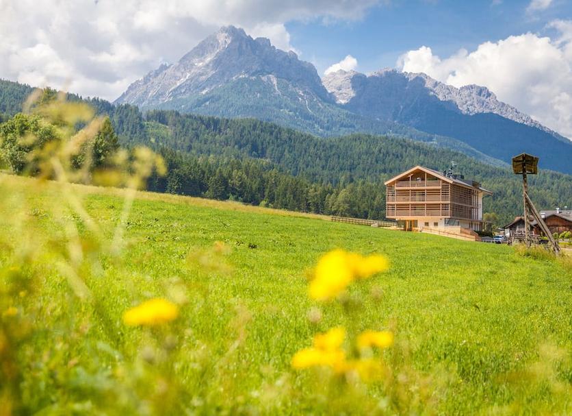 Buiten zicht Foto's