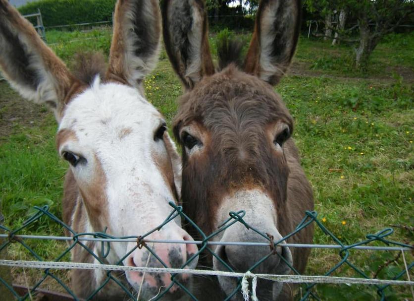 Andere Foto's
