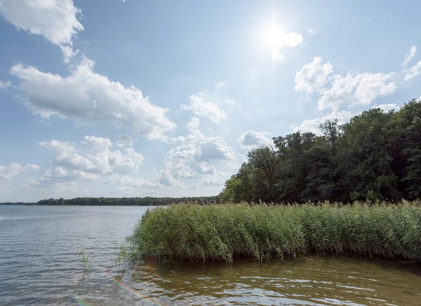 Buiten zicht Foto's