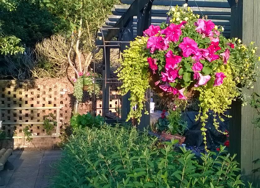 Buiten zicht Foto's