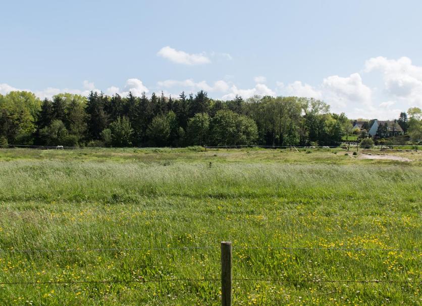 Buiten zicht Foto's