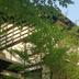 Gebouw