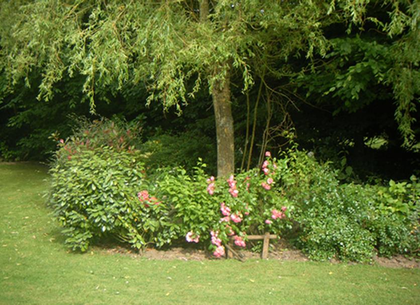 Buiten zicht Foto's