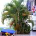 Hotel-ingang