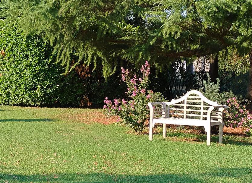 Buiten zicht Foto's