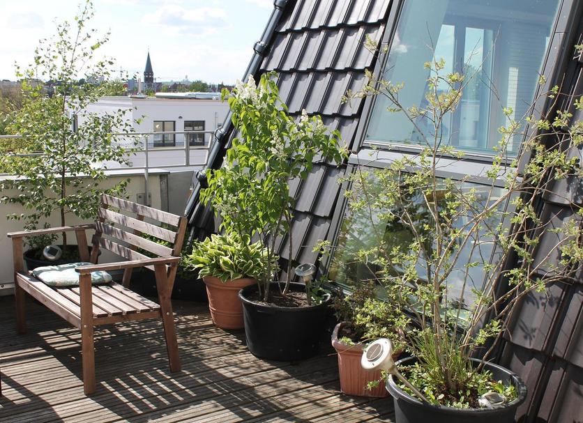 Balkon Foto's