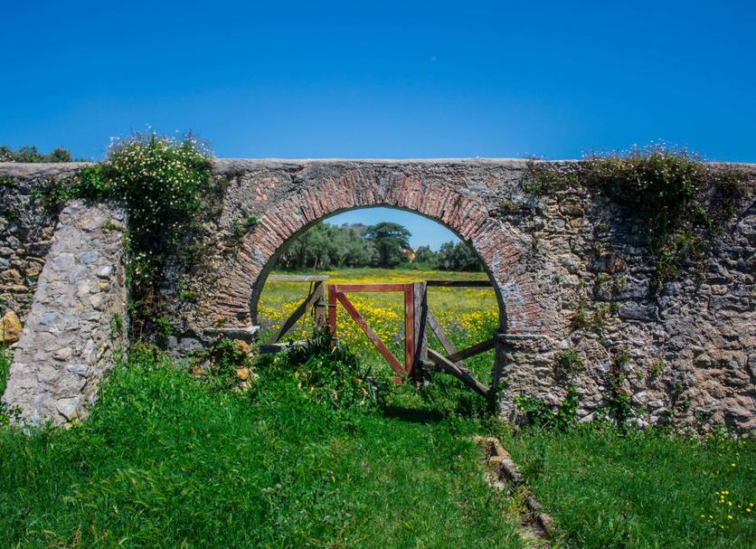 Buiten zicht Foto's