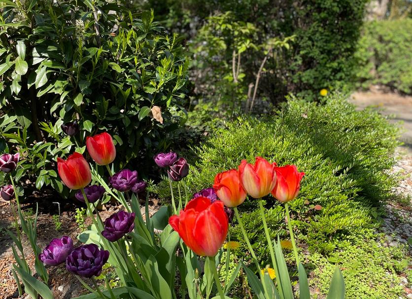 Buiten zicht Foto's