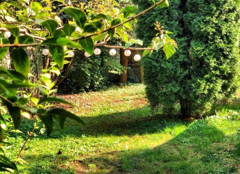 Buiten zicht Foto's