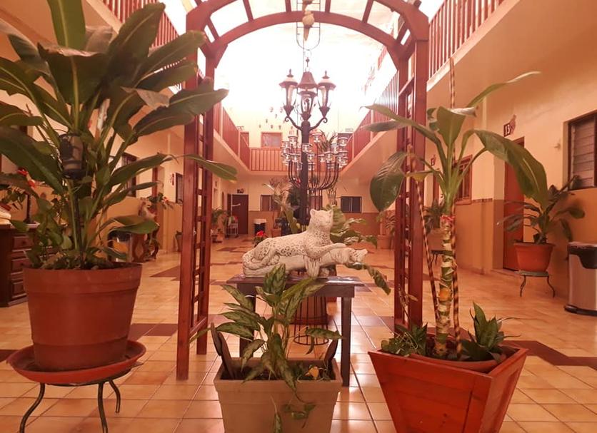 Lobby Foto's