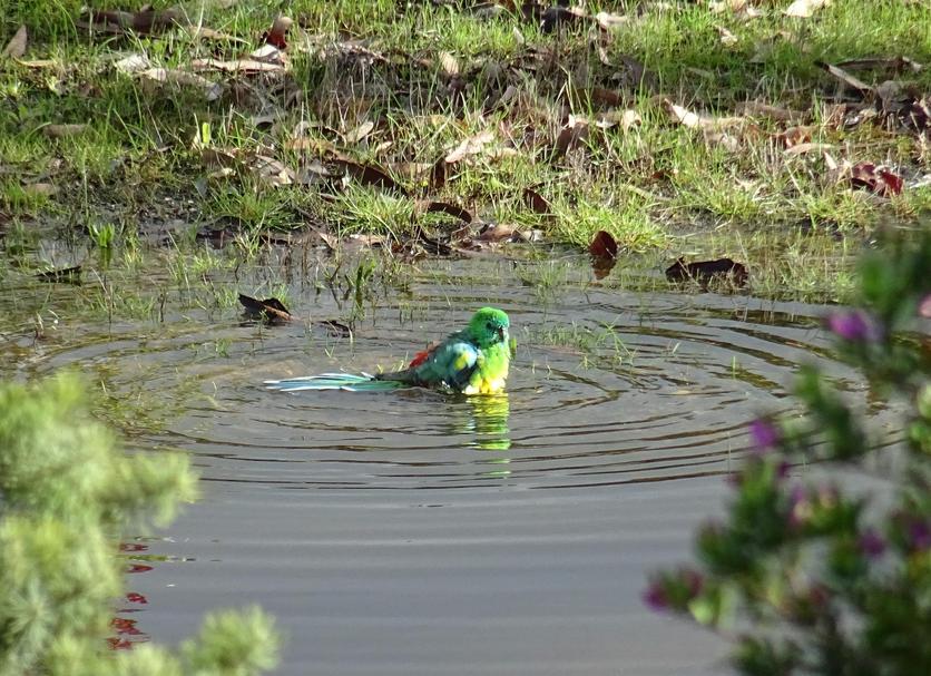 Buiten zicht Foto's